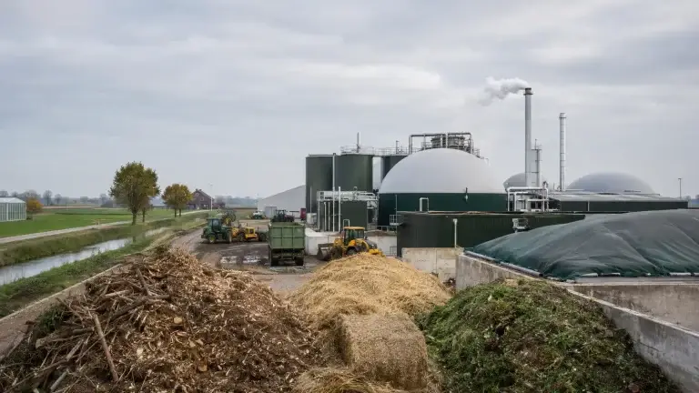 biomassa in Nederland